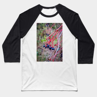 Dogwood Berries 2 Baseball T-Shirt